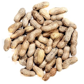 Nature's Nuts Shelled Peanuts 5lb