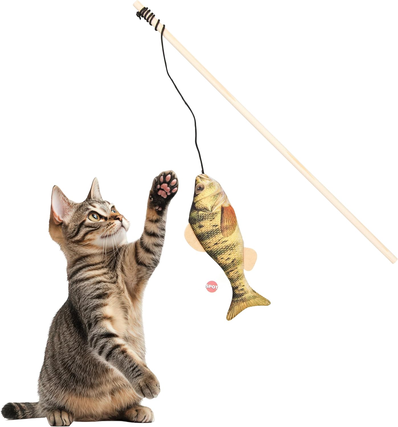Fishin Teaser Wand  Cattoy