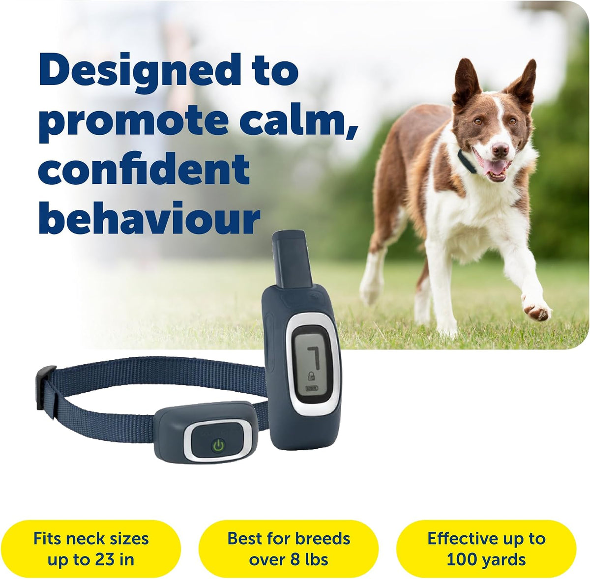 PetSafe 100 Yard Remote Trainer