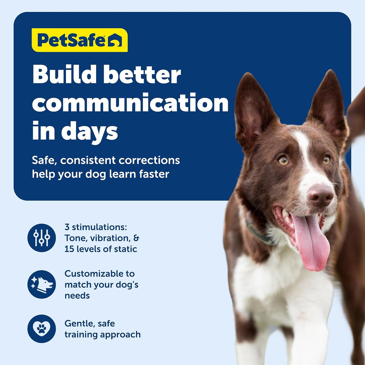 PetSafe 100 Yard Remote Trainer