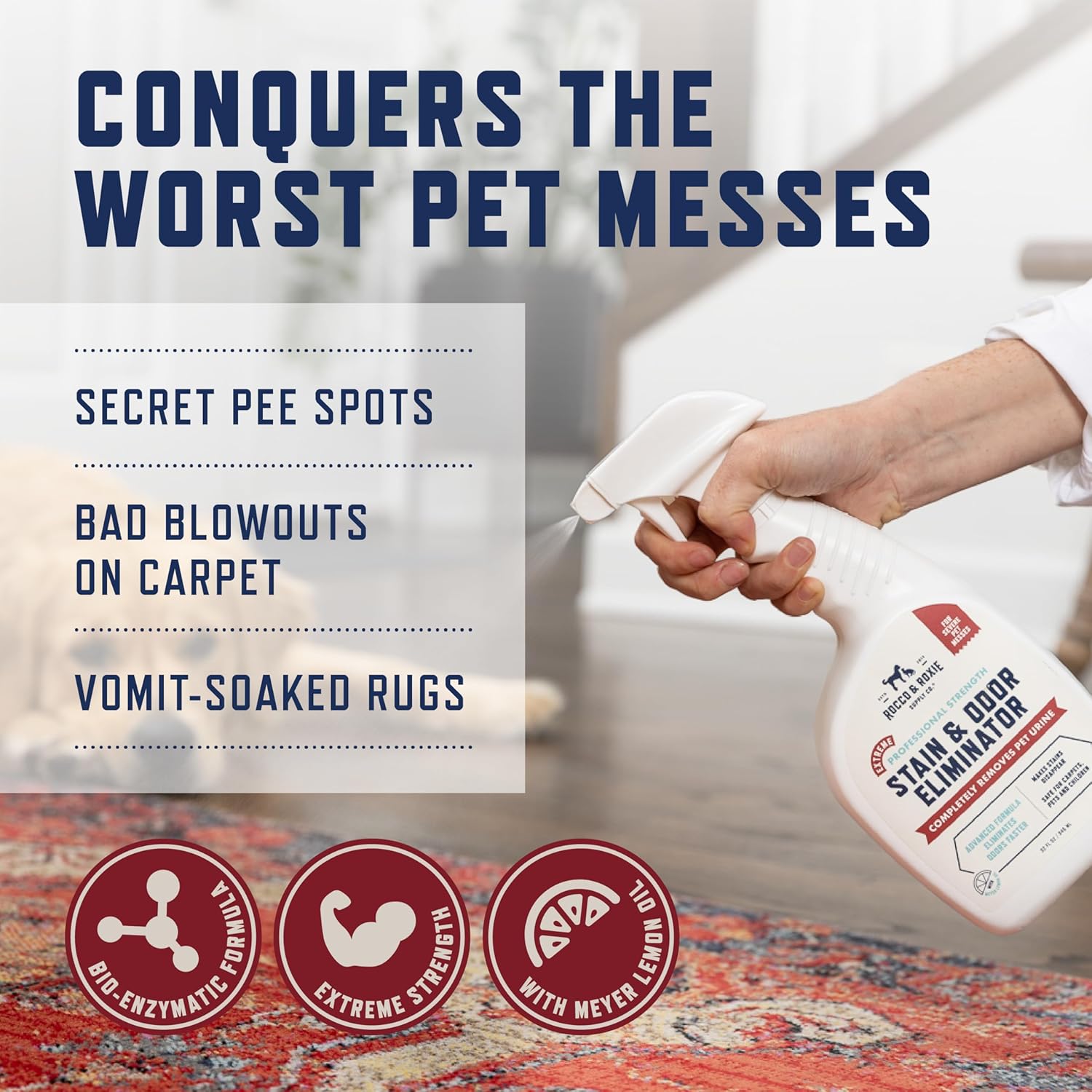 ROCCOROXIE XTRM ODR SPRY 32z