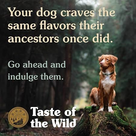 Taste Of The Wild Sierra Mountain Canned Dog Food 13.2oz