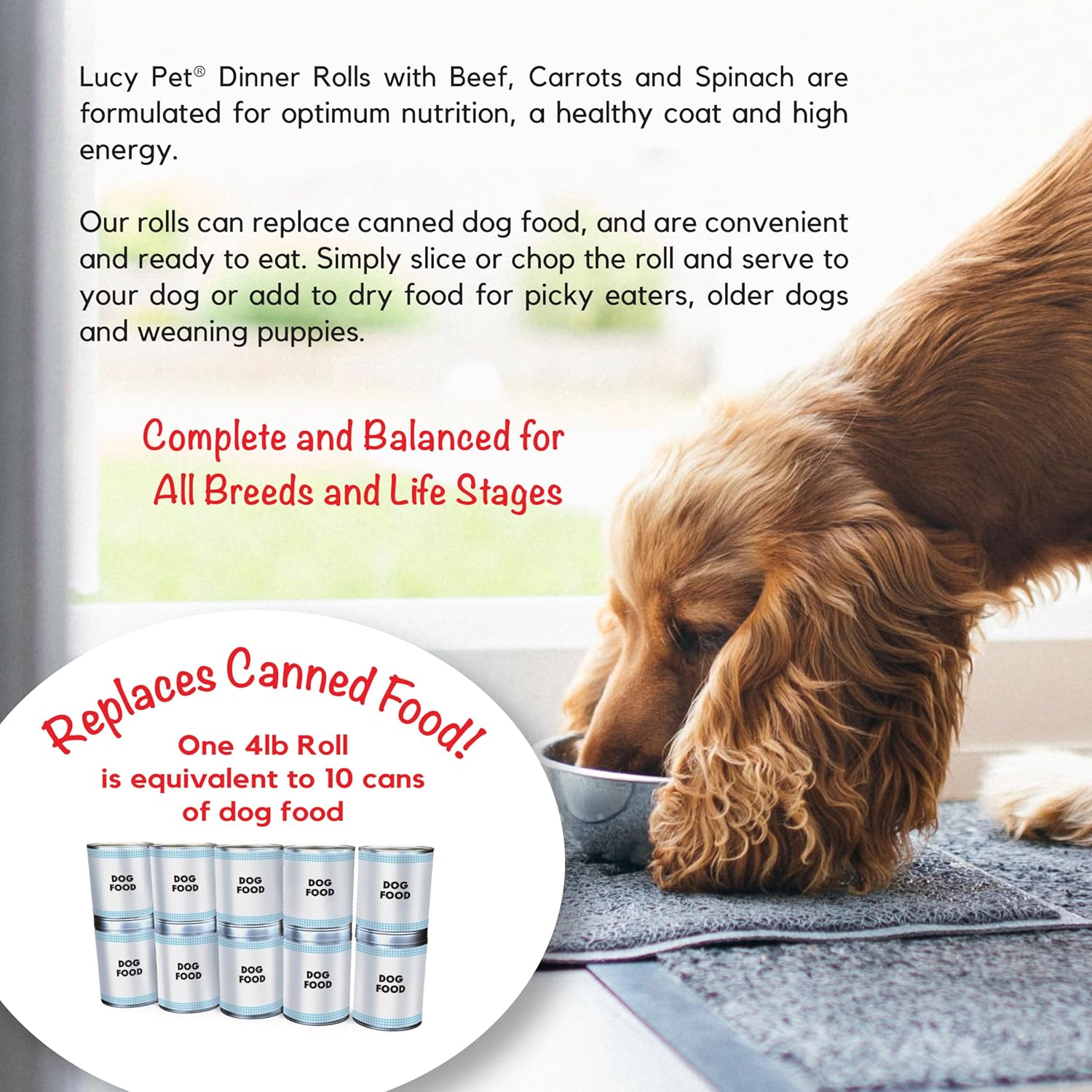 Lucy Pet Meat Loaf Beef 2 lb