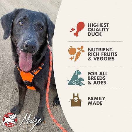 Fromm Four-Star Duck À La Veg® Recipe Dry Dog Food 4lb