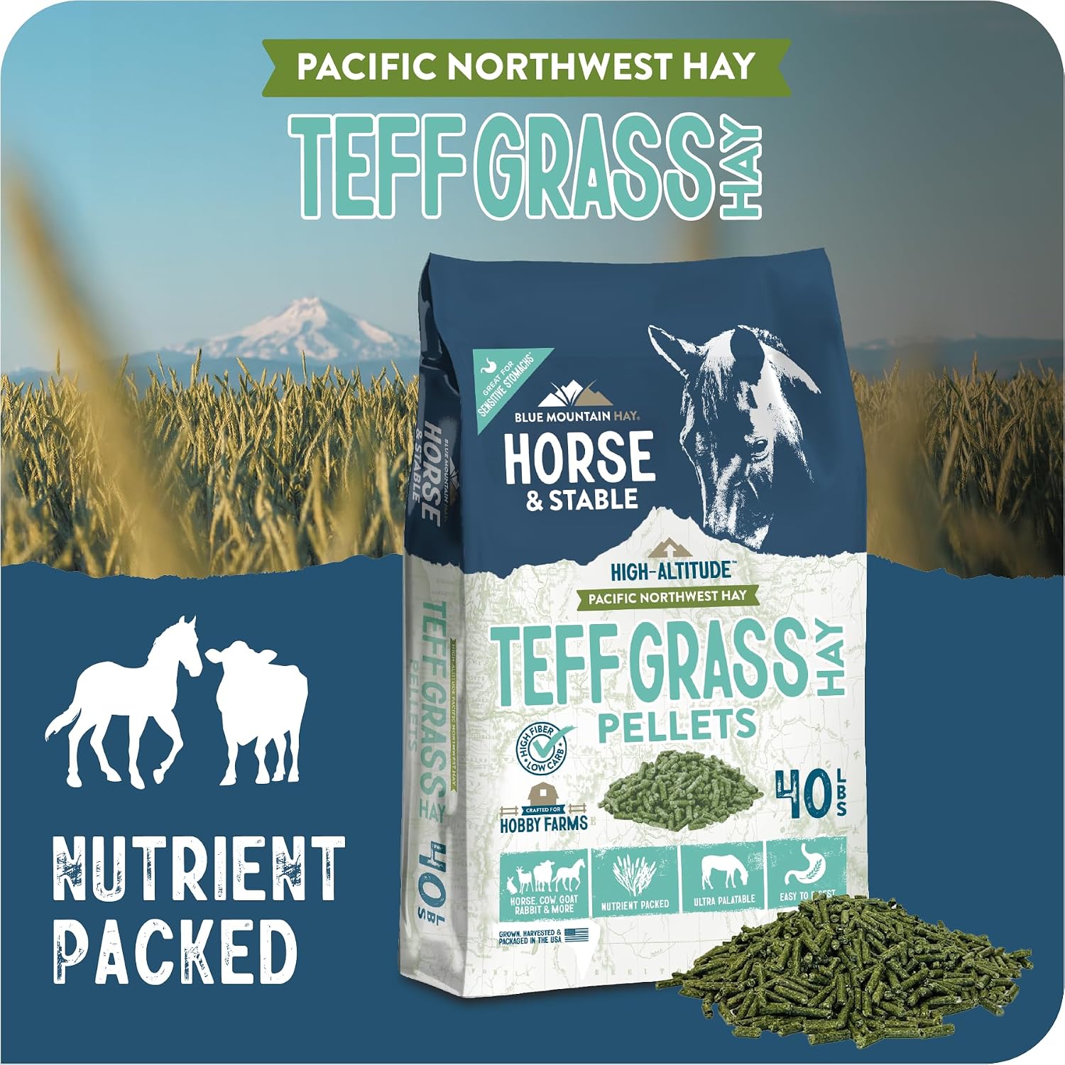 Blue Mountain Hay High Altitude Teff Grass Hay Pellets 40lb