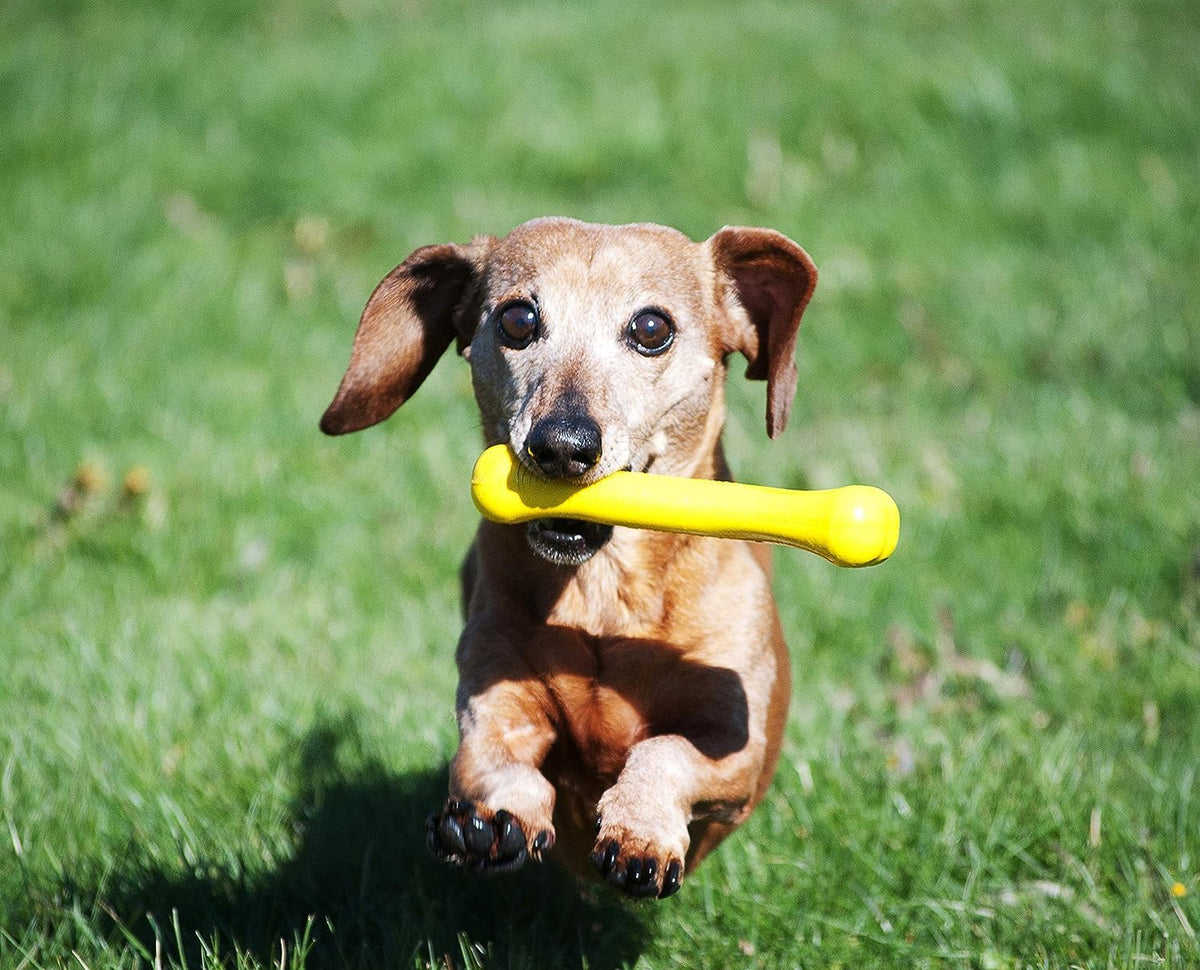Jolly Pets Jolly Bone Dog Toy Yellow Small
