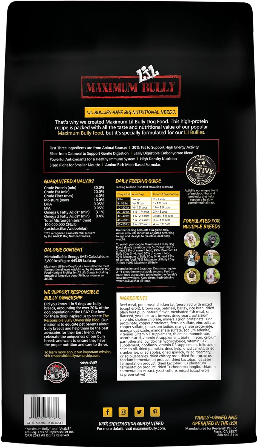 MAXIMUM BULLY DOG LIL BULLY 24