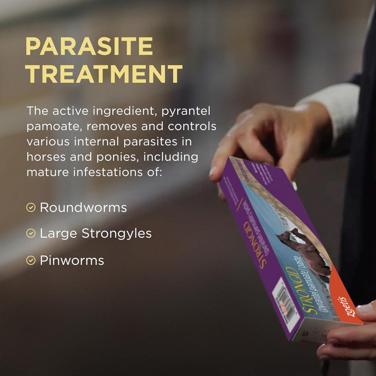 Strongid Pyrantel Pamoate Dewormer Paste for Horses 20ml