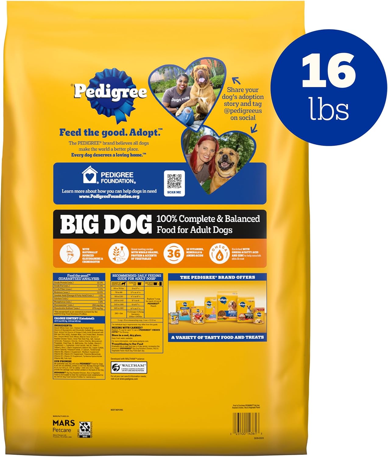 PEDIGREE Big Dog Chicken16  LB