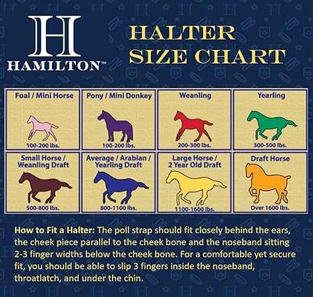 Hamilton Quality Horse Halter, 1" Triple Ply Nylon, Yearling or Standard Donkey, 300-500 lbs, Red