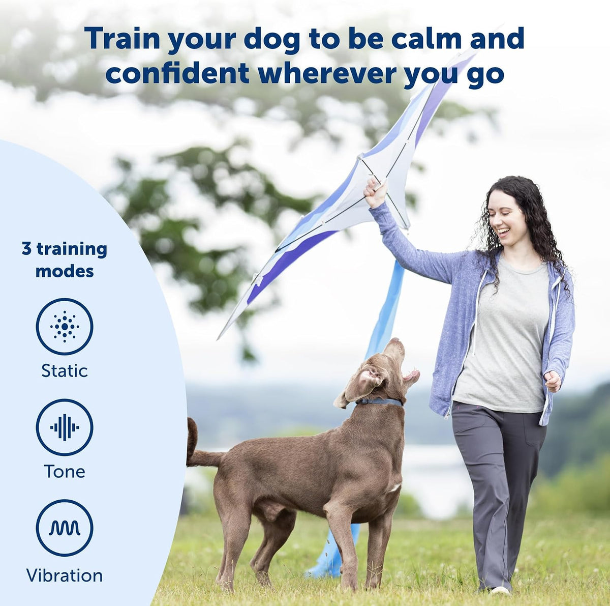 PetSafe 900 Yard Remote Trainer