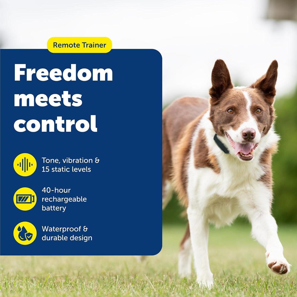 PetSafe 100 Yard Remote Trainer