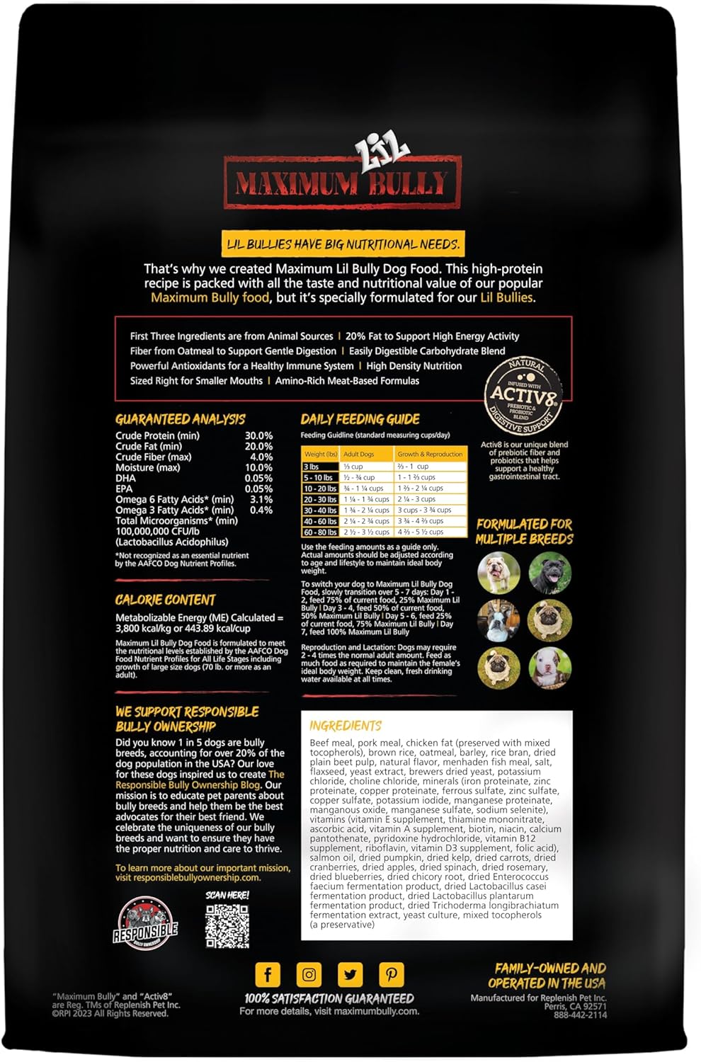 MAXIMUM BULLY DOG LIL BULLY4LB