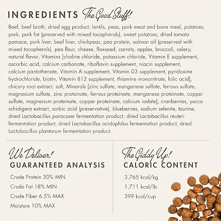 Fromm Four-Star Beef Frittata Veg Recipe Dry Dog Food 26LB