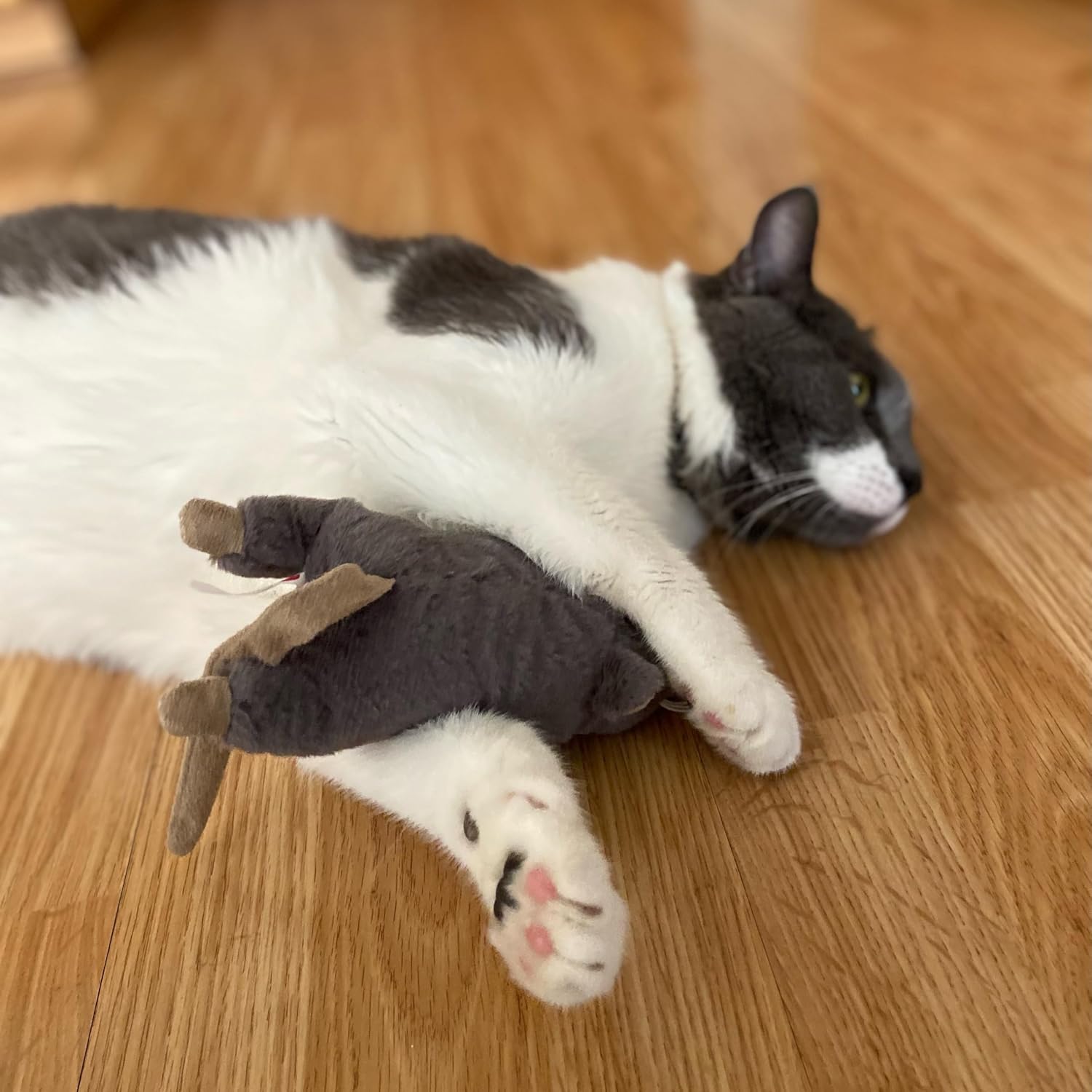 Big Mouse Bertha Cattoy