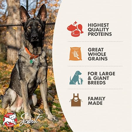 Fromm Gold Large Breed Adult Dry Dog Food 30 LB