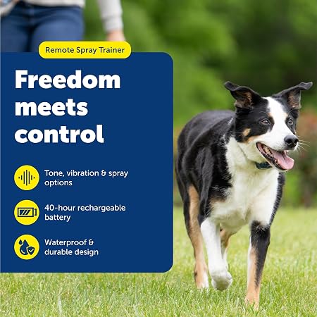 PetSafe Remote Spray Trainer Collar Tone, Vibration & Spray 300 yards