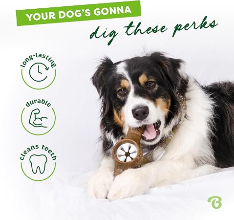 Benebone Pawplexer Bacon Flavored Durable Dog Chew Medium