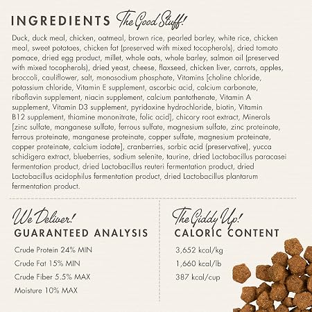 Fromm Four-Star Duck À La Veg® Recipe Dry Dog Food 4lb
