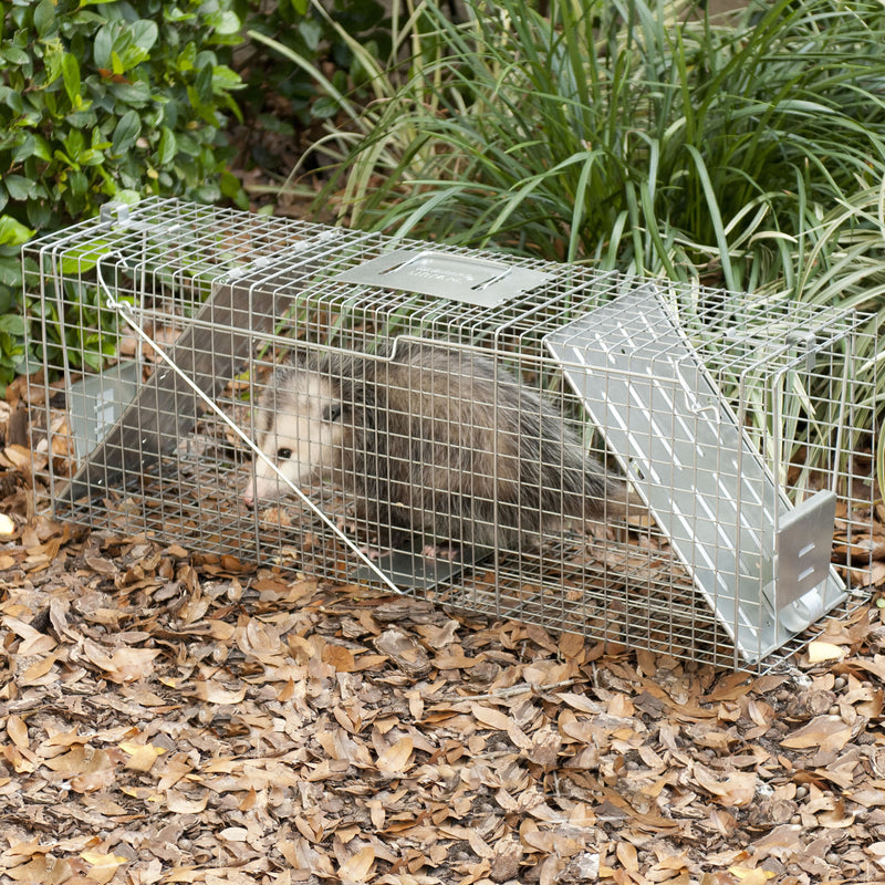TRAP Havahart Raccoon Trap
