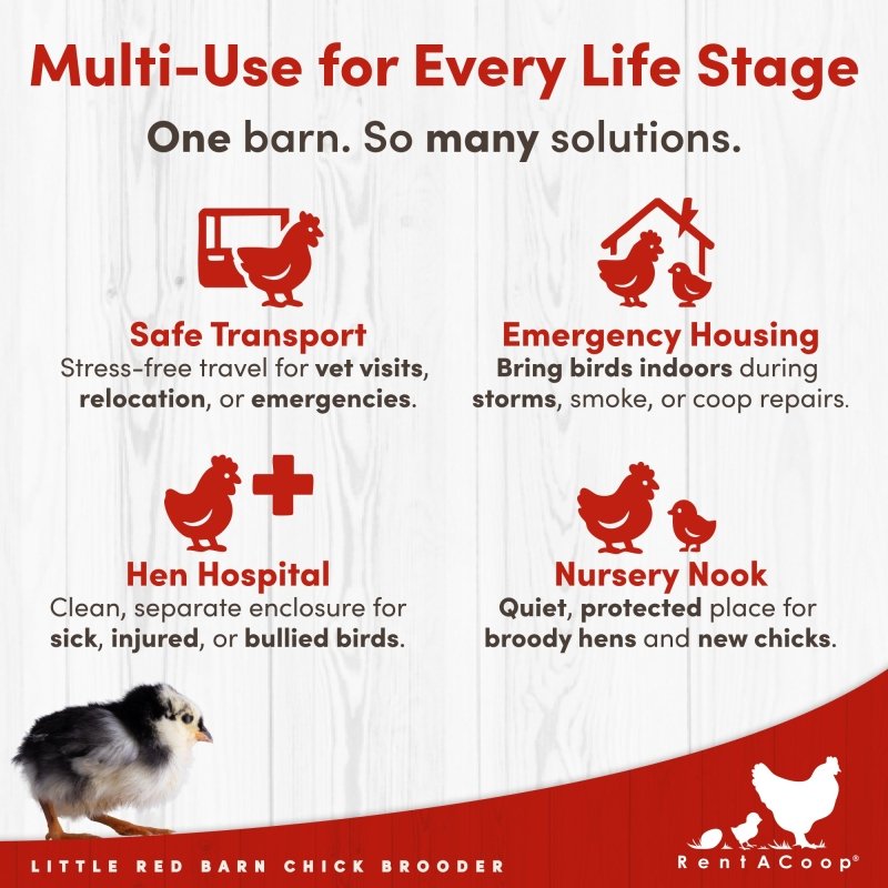 RentACoop Little Red Barn Chick Brooder
