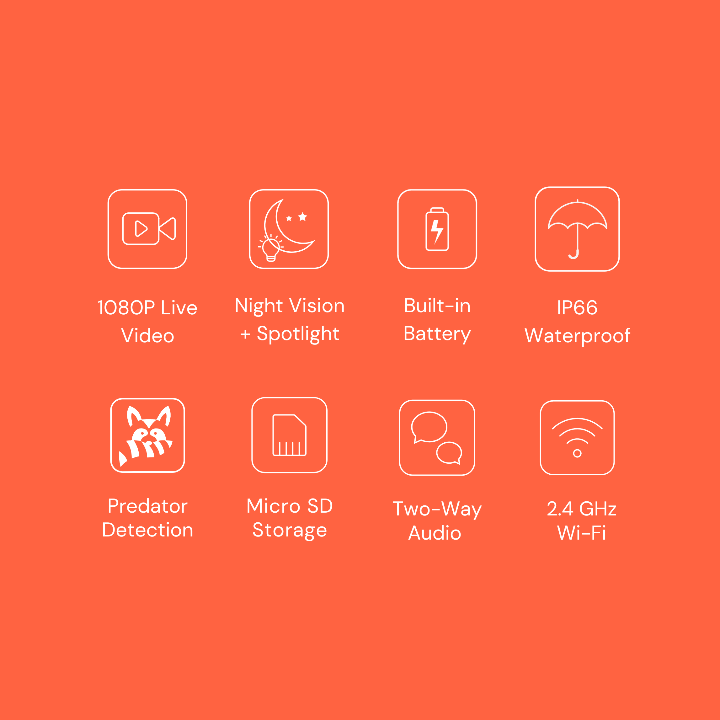The Smart Coop AI Camera