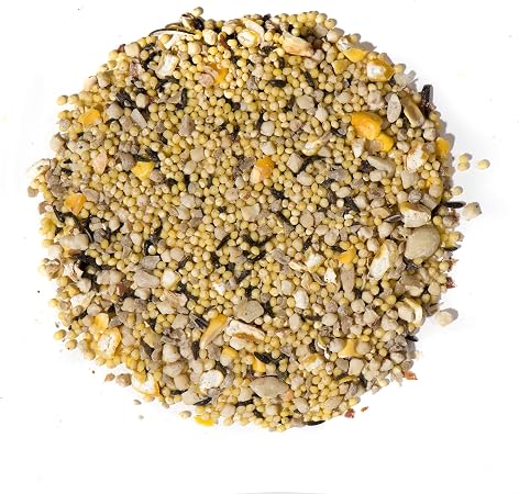 Nature's Nuts No Sprout Blend 20lb