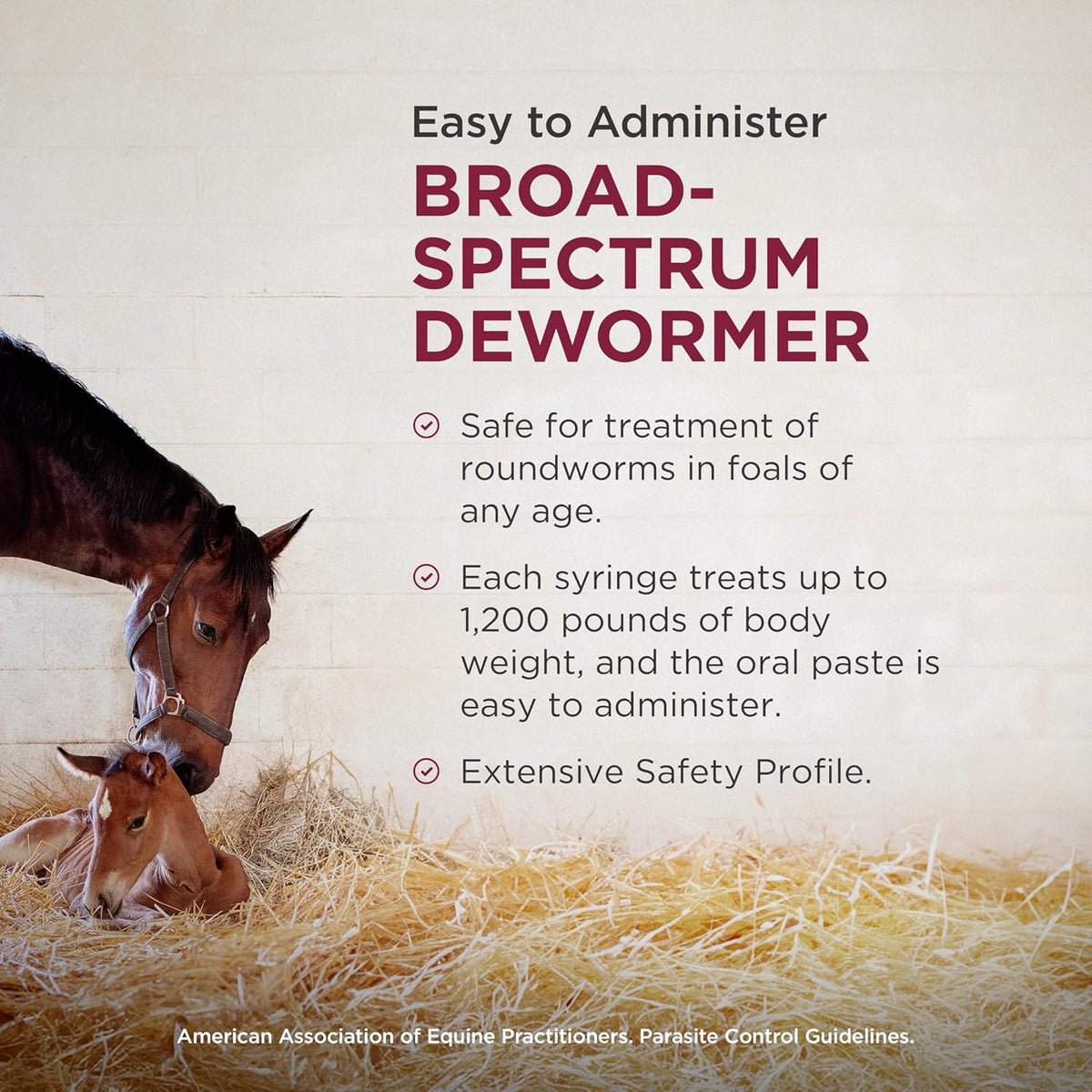 Strongid Pyrantel Pamoate Dewormer Paste for Horses 20ml