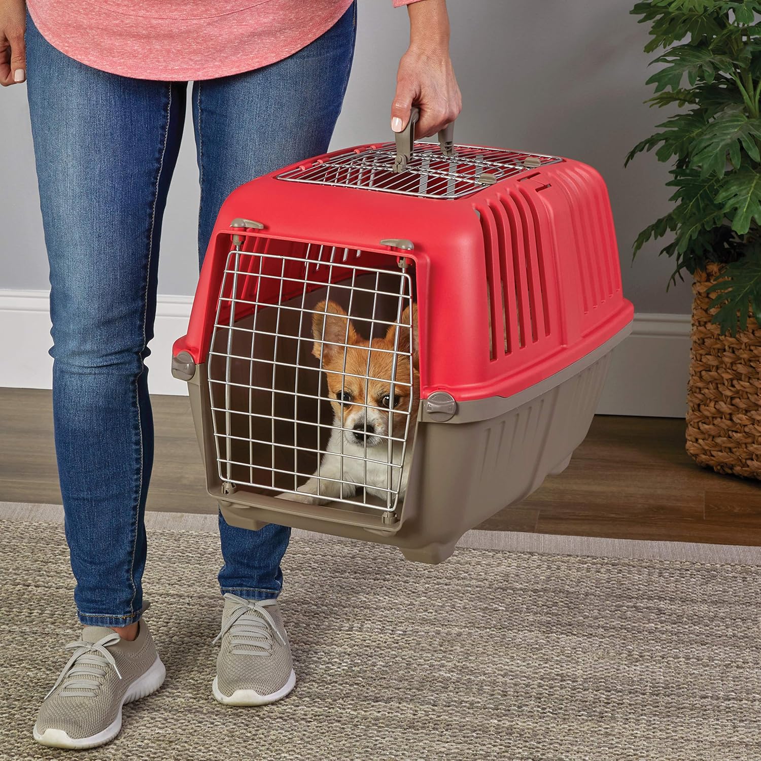 Midwest Spree Travel Pet Carrier 24 inch
