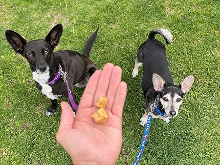 Redbarn Natural Air Dried Chicken Training Treats for Puppies & Dogs – Grain-Free Single Protein 8oz