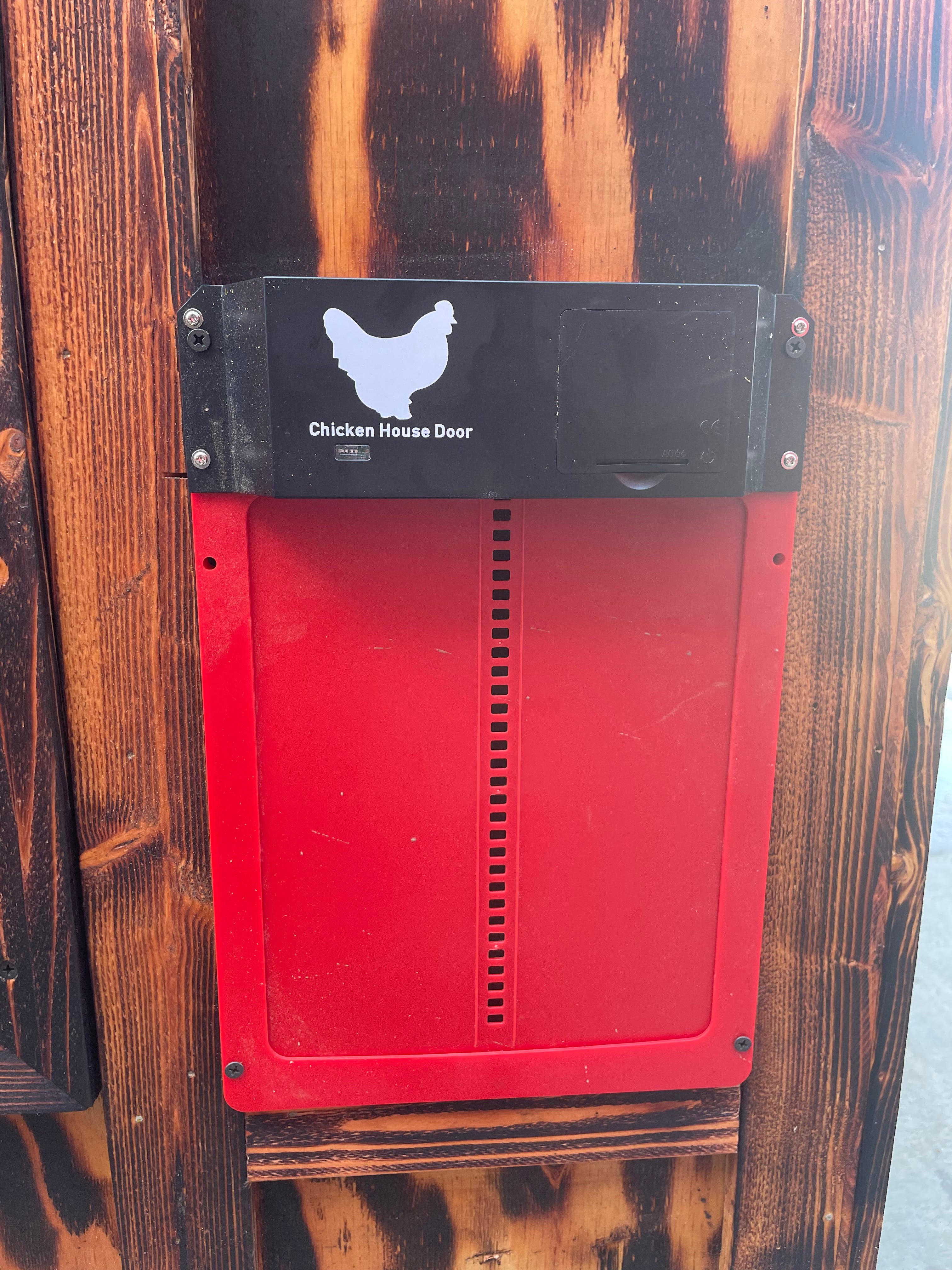 WR CHICKEN WOOD COUP BURNT WOOD 4 box w auto Door