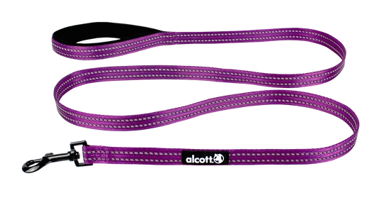 Alcott Adventures Reflective Leash Medium Purple