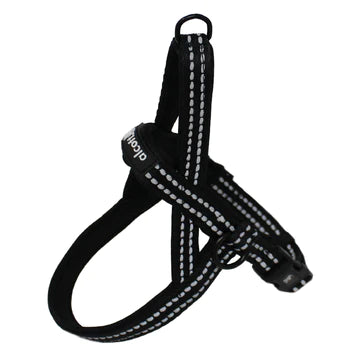 Alcott NOR HNS LG BK