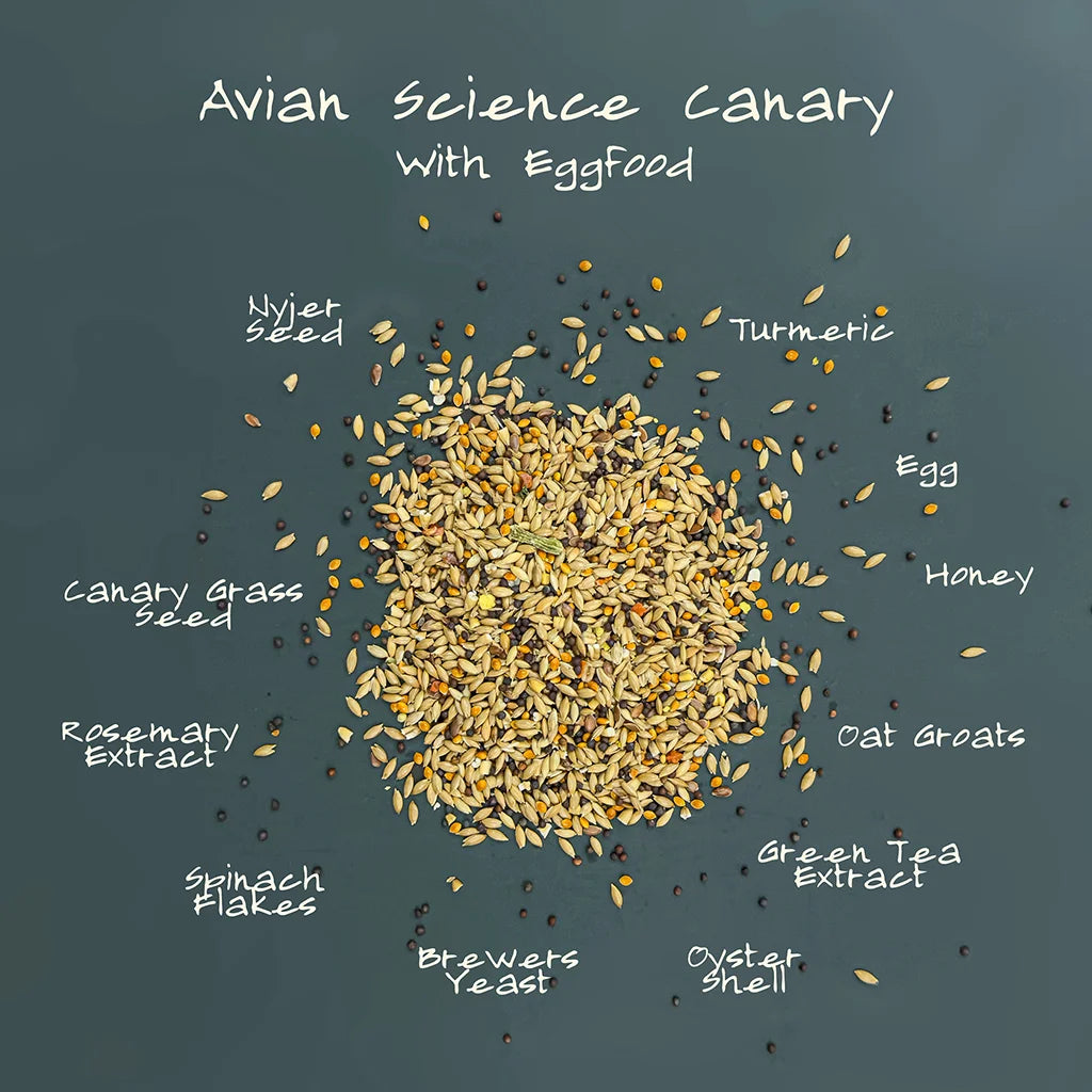 Volkman Avian Science Super Canary 20#
