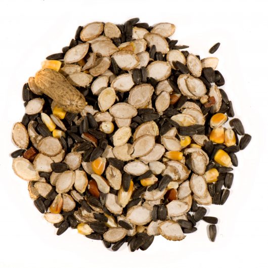 Chuckanut Backyard Wildlife Blend 10lb