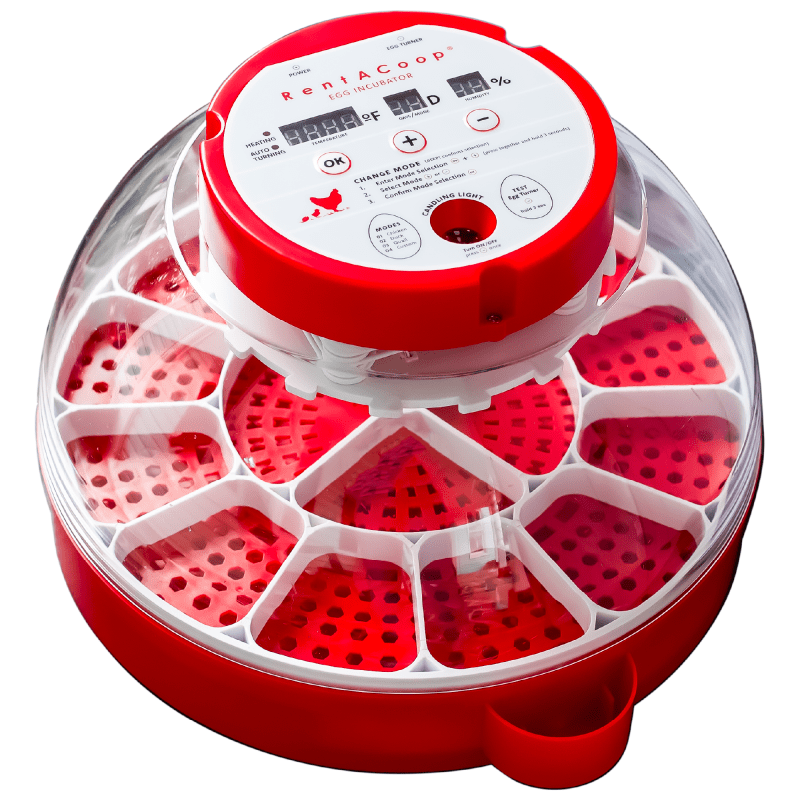 RentACoop 16-Egg Smart Incubator – App Controlled, Auto-Turn, Built in Candeling Light Perfect for Chickens, Ducks, and Quail!