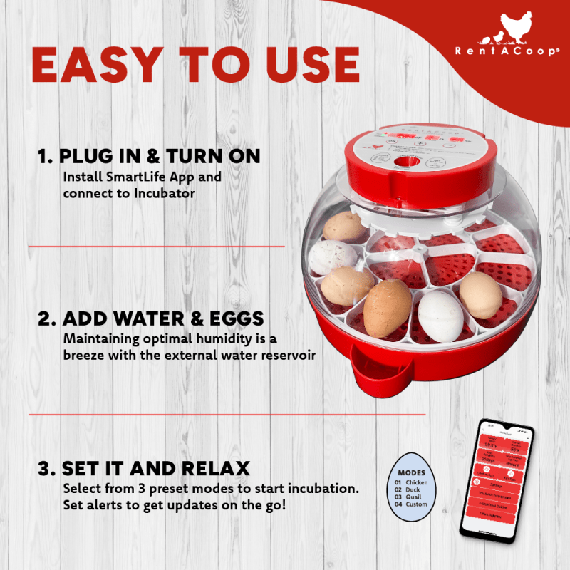 RentACoop 16-Egg Smart Incubator – App Controlled, Auto-Turn, Built in Candeling Light Perfect for Chickens, Ducks, and Quail!