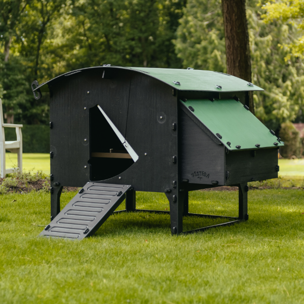 Chicken Coop