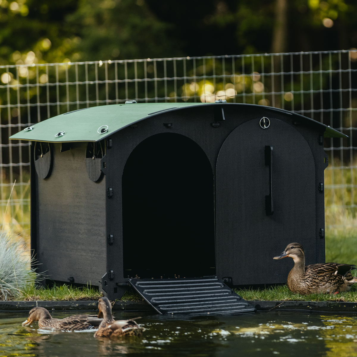 Duck House