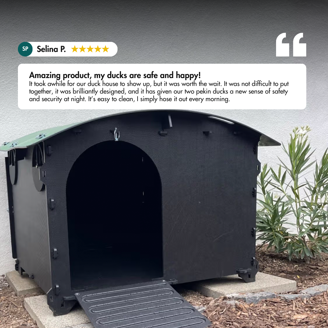 Duck House