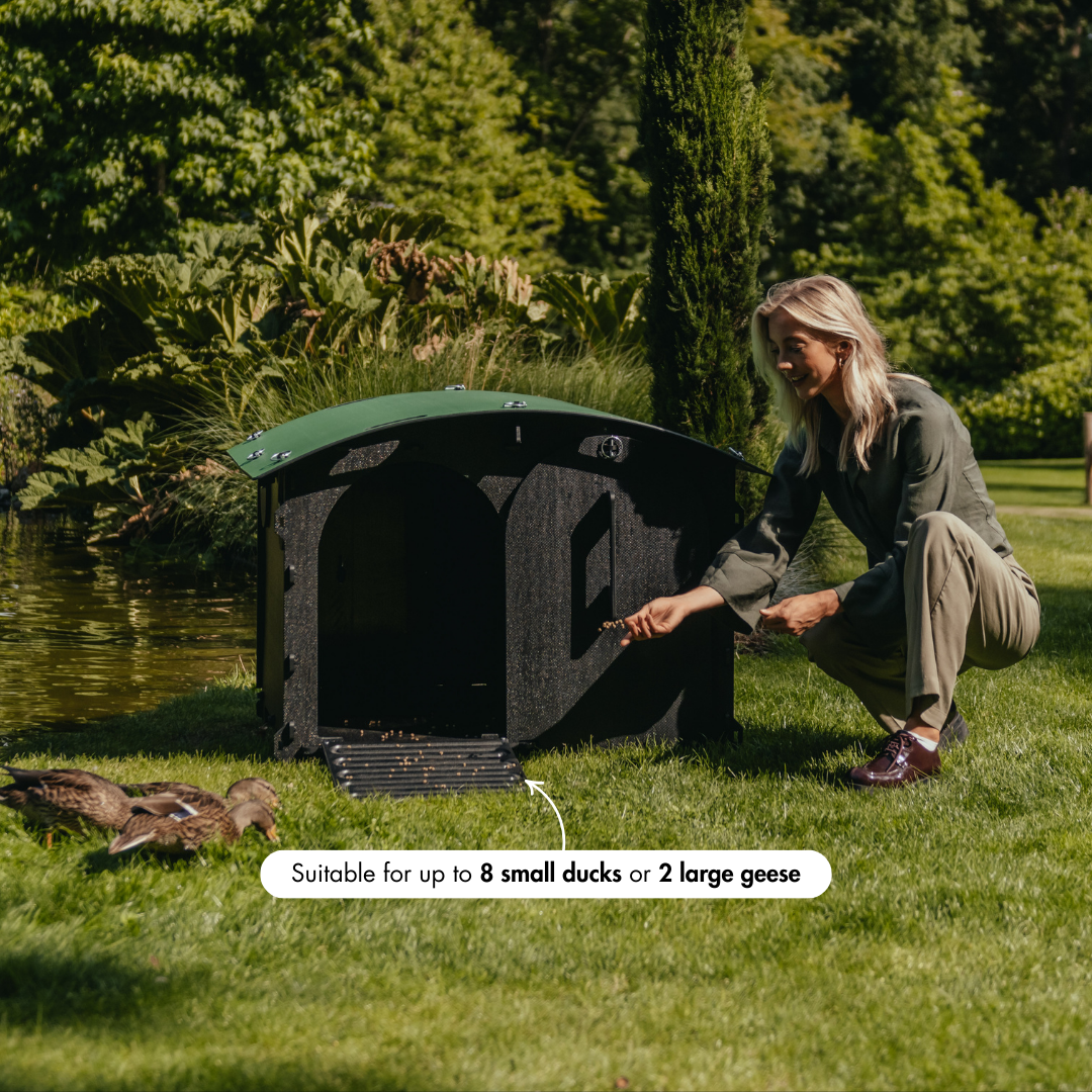 Duck House