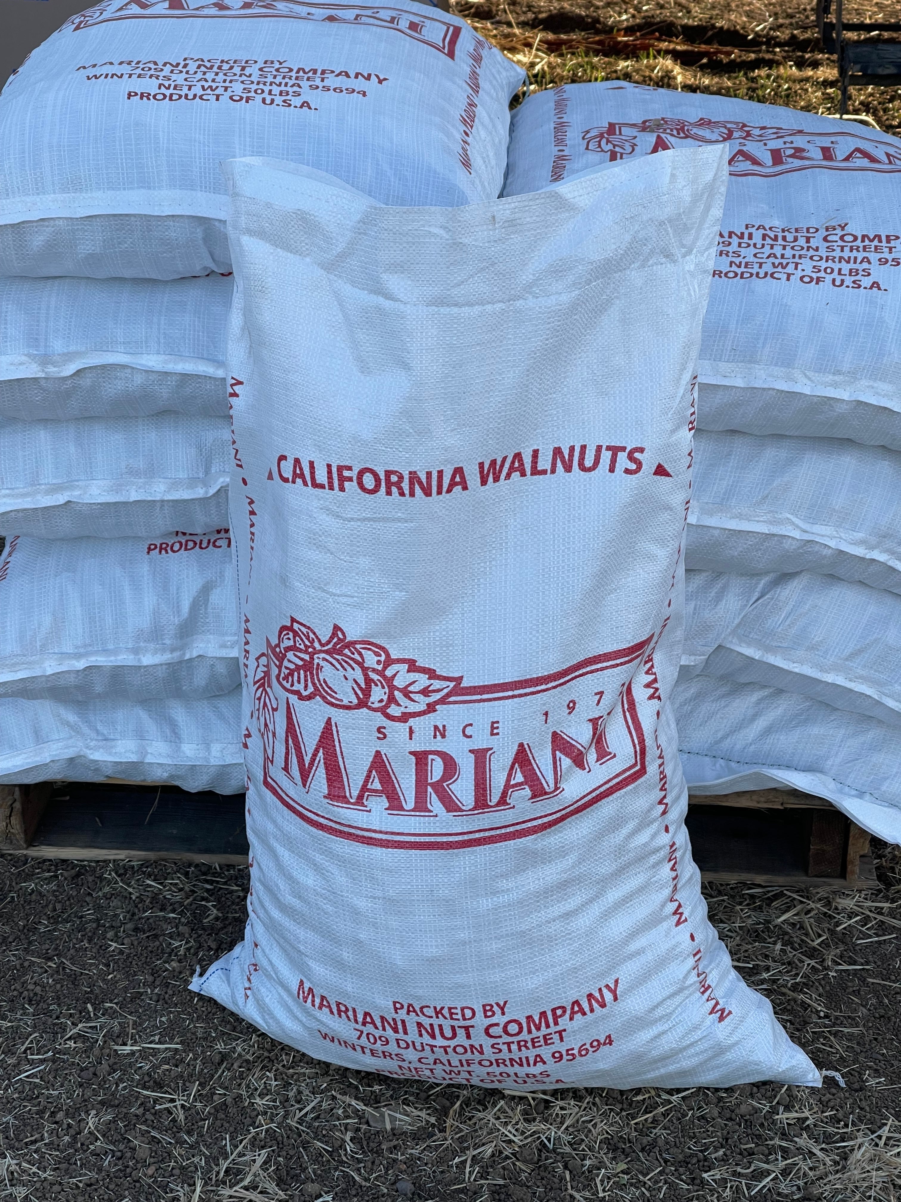 Walnuts 10 lb Winters Ranch