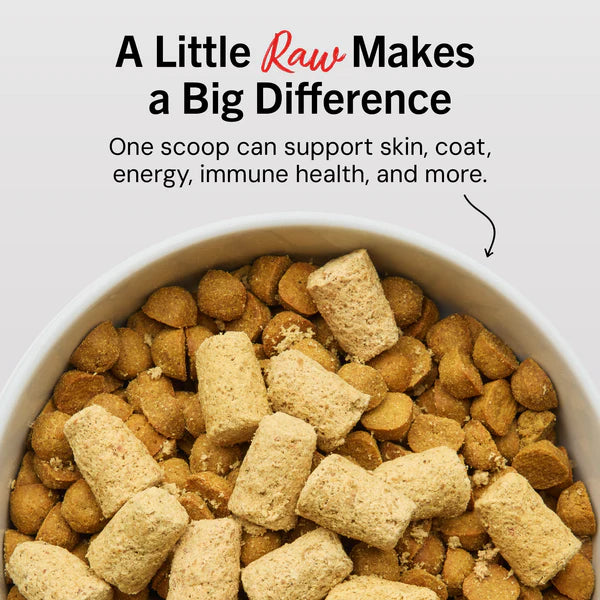 Stella and Chewy's Freeze Dried Meal Mixers Dandy Lamb 18oz