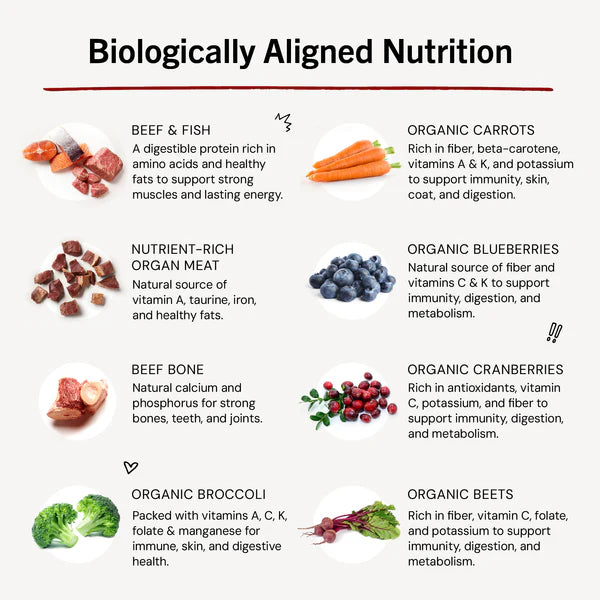 Stella & Chewy's Surf 'N Turf  Freeze-Dried Patties for Dogs 14oz