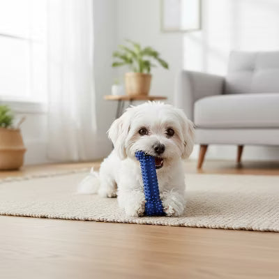 DENTAL CHEW PETITE