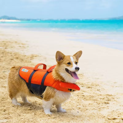 KYJ PUPSVR RPSTP LIFEJCKT SM