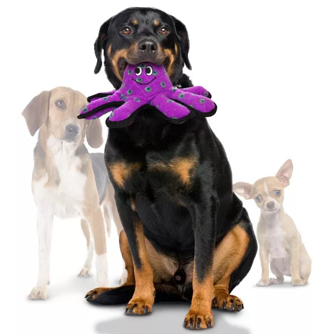 Tuffy's Ocean Creature Octopus Dog Toy Small 12"