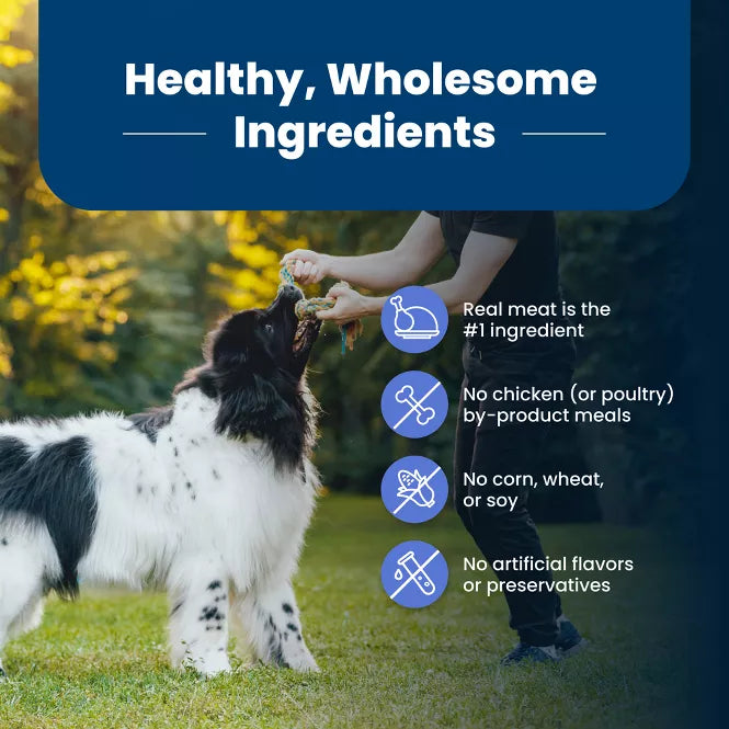 Blue Buffalo Life Protection Healthy Weight Chicken & Brown Rice Recipe Large Breed Adult Dry Dog Food 30lb