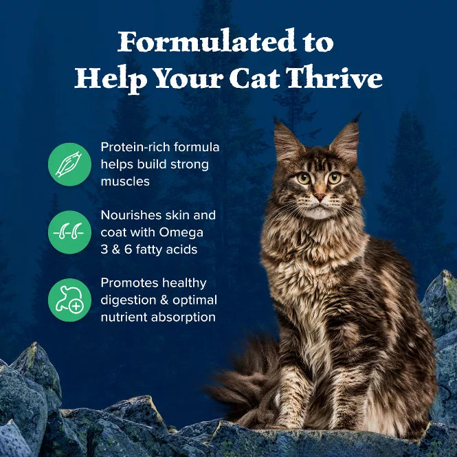 Blue Buffalo Wilderness Grain Free Duck Adult Dry Cat Food 5lb