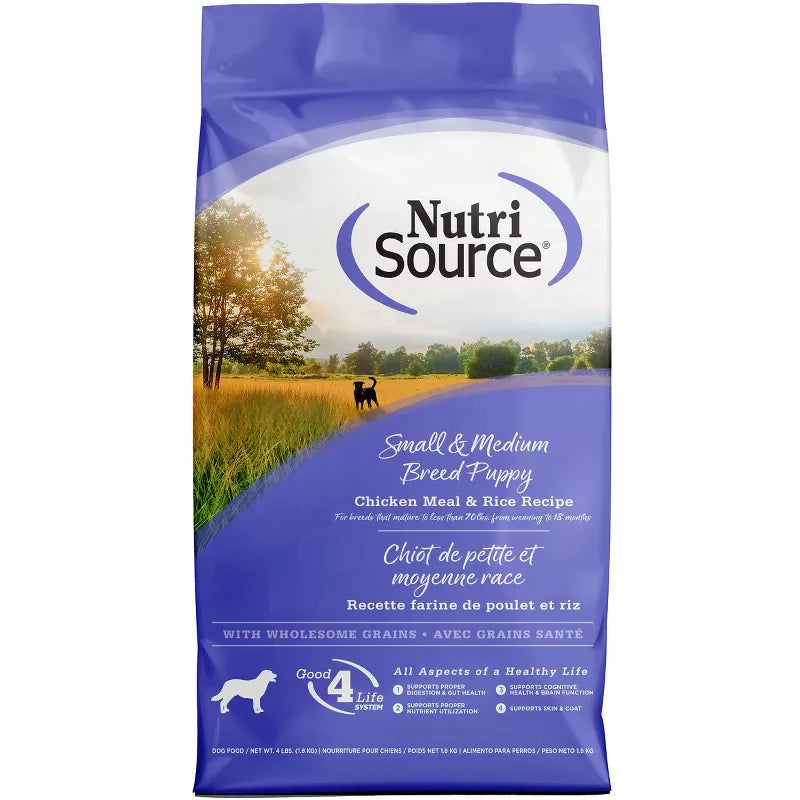 NS SB Chic R Pup            4